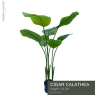 Artificial Cigar Calathea Height 125-145-180-200 Cm ต้นคล้าซิการ์ เสมือนจริง ความสูง 125-145-180-200