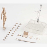 Mannequin Model Action Figure / SHFiguart Body Chan DX Set (Replika 11)