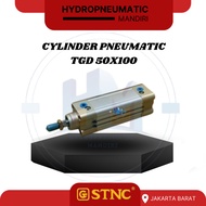 Tvd 50X100 STNC PNEUMATIC PROFILE CYLINDER Tvd-50X100