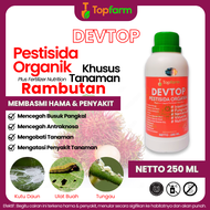 Obat Semut Hitam Dipohon Buah Rambutan / Obat Semut Paling Ampuh / Obat Semut Semprot / Obat Semut P