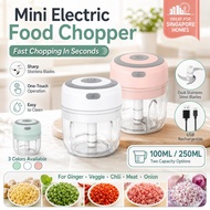 Garlic Chopper Mini USB Electric Food Chopper Mini Blender Grinder Portabl Vegetable Meat Chilli Gri