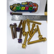 Probolt GOLD AND BLUE FLOWER DRAT BOLT 10 LENGTH 3.5CM 6X35 ORI HENGs