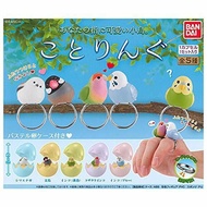 Bandai Kotoringu Gacha Collection Capsule Toy Gacha Japan Bird Ringcolle