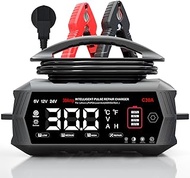 HTRC 30A Car Battery Charger, 6 V/12 V/24 V LiFePO4 Charger for Car, Truck, Motorcycle, Lawn Mower,