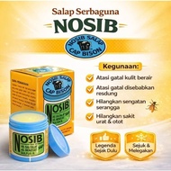 Nosib Salp 1pcs 14 gram | Pagoda Salep 10g 💥