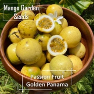 Panama Gold Passion Fruit Seeds - 15 Seeds *Pot Friendly* Yellow Passion Fruit Pot Planting Panama G