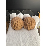 RUIXI Studio |【石门元宝】 | Natural Walnut for Collection D86【品种】SHI MEN YUAN BAO Walnut Pair 小尺寸文玩核桃对送礼收