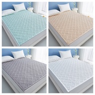 Ready Stock Tatami Mattress Protector 100%Waterproof Bedbug Proof 5-40cm height 100%Waterproof bedsh