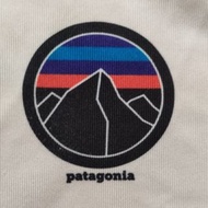 原價$1800 二手 美國 Patagonia 百岳 登頂 logo 排汗 涼感 OG t恤 S號 TNF 北臉 始祖鳥 長毛象