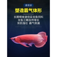 2026 New Style Subeito Arowana Feed Red Arowana Gold Arowana Silver Arowana Thunder Dragon Fish Food