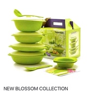 Blossom Collection Set/Original Tupperware Serving Container Package