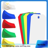 500 Pieces 4 3/4Inch X 2 3/8Inch Plastic Shipping Tags Colorful Blank Labeling Tags Waterproof Hang 