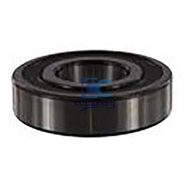 F100123P BEARING MOTOR 6309 2RS