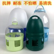 Pigeon Supplies Utensils Believe Pigeon Automatic Drinking Fountain Pigeon Drinking Water Bottle Sin