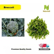 300pcs Broccoli Vegetable Seeds (Free Shipment by Choosing Normal Post)