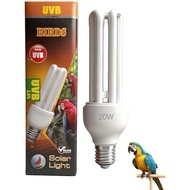KINGYEENUO E26 UVA UVB Light Bulb for Birds 2.4 UVB 20W Compact Flourescent Lamp for All Kinds Capti