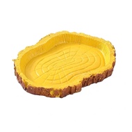 Food Tray Water [B: 12.5 * 9 * 1.5cm] Small Size For Land Turtles Chameleons. ​Gecko Frog​ Snakehead