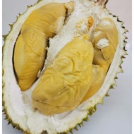 pokok durian jenis tangkai panjang