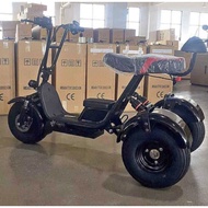 Brand new citycoco rooder electric scooter