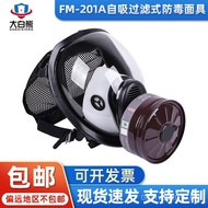 Blocking Spray Paint Full-face Mask Type FM202A Paint Industrial Smoke-proof Gas Mask Formaldehyde A