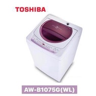 TOSHIBA 東芝 10公斤 不鏽鋼槽洗衣機-薰衣紫 AW-B1075G(WL)