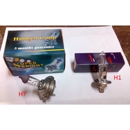 Car Headlight Bulb H7~H1 Specifications~Halogen Bulb~55W