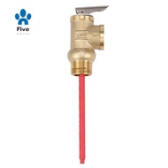WYA-20 99C 102PSI 210F WYA-20 0.7Mpa to Valve  3/4 Inch Temperature and Pressure Relief Valve As  Sa