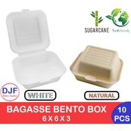 Bagasse Bento Box Hamburger Burger box Sugarcane Cake Box 6x6x3 inches EcoFriendly 10-50PCS
