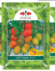 Benih Tomat Optima isi 5 gr Cap Panah Merah