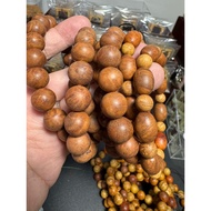 Rare Burl Wood bracelet