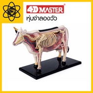 4D Vision 4D Cow Model