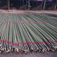 [Delivered From Taiwan] Bamboo Pole Bracket Vegetable Garden Matching Rack Fence Cucumber Bean Corne