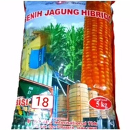 Dijual benih jagung hibrida bisi 18 kemasan 5kg Berkualitas