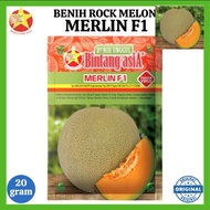 benih melon merlin f1 20 gr