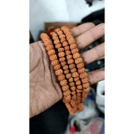 1000 grains of Jenitri rudraksha 8 mm