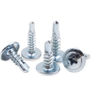 100pcs Pan Head Screw Self Tapping Metal Screw Job Screw Hardiflex Screw1/2 - 1 inch NathanTools