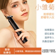 Electronic RF Skin Rejuvenation Beauty Instrument Household Facial Massager Firming Lifting Essence 