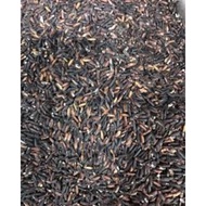 pulut hitam tempatan