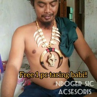 Dayak Ethnic Necklace/Pig Fangs/Ethnic Necklace
