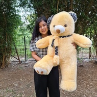 boneka beruang besar / tedy bear topi shall jumbo uk 90cm