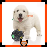 Rubber Feeding Ball with Sound - 7cm , 9cm & 11cm
