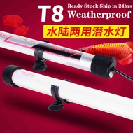 Philips T8-Arowana tanning light waterproof.