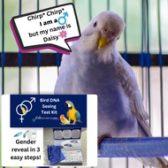 BioA™ Bird DNA Sexing Test Kit