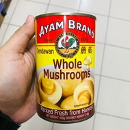 Ayam Brand Whole Mushrooms Cendawan 420gm