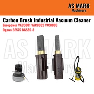OGAWA EUROPOWER Carbon Brush For Vacuum (2pcs) Fit EUROPOWER VAC5001 VAC8002 VAC8003 Ogawa BF575 BG5