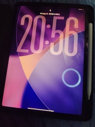 [睇description] 香港行貨 APPLE IPAD pro 11 inch 4th generation M2 256G