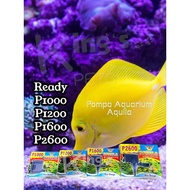 AQUARIUM AQUILA PUMP Aquarium Pump/ Aquila/ Aquarium Accessories/ Fish/