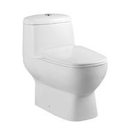 WC-522 Water Closet (while Stock Lasts)