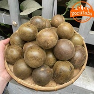 Dried arhat fruit, old fruit type 1. Arhat fruit tea, arhat fruit helps clear heat, detoxify, lower 