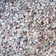 Five-color Coral Stones-Decorative Stones 1kg